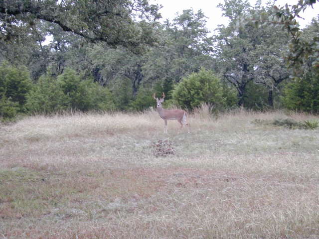 DSCN0029.JPG