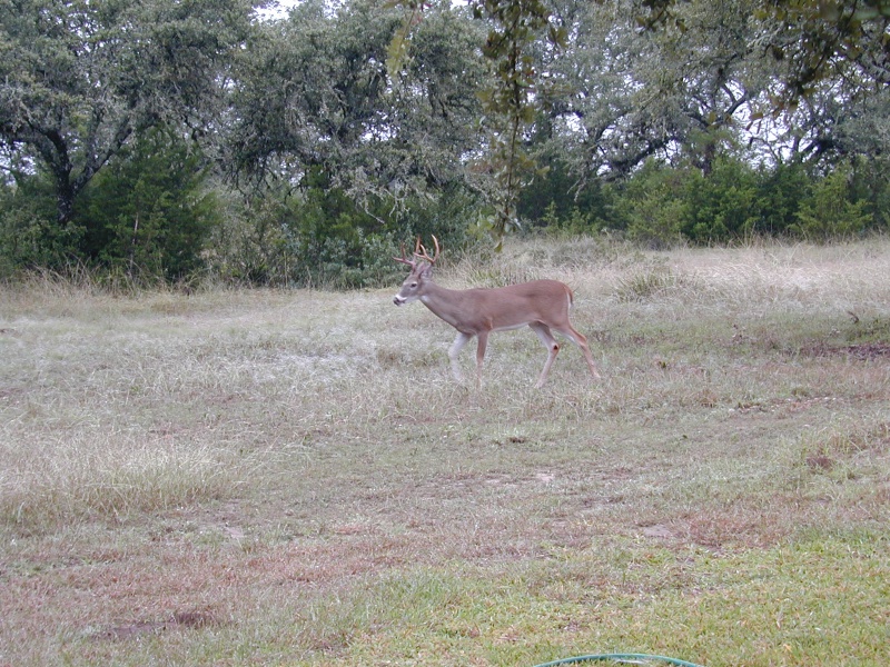 2002/10(October)/Misc/800x600_DSCN0028.JPG