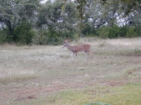 DSCN0028.JPG
