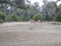 DSCN0029.JPG