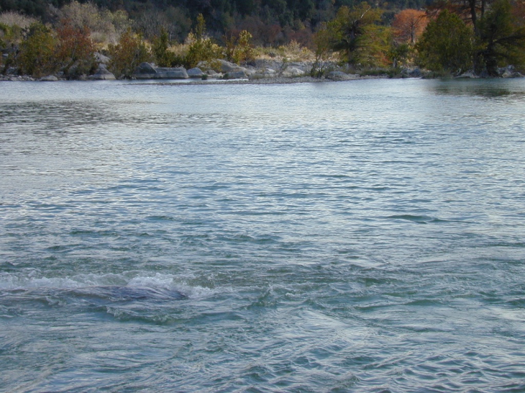 DSCN0011.JPG