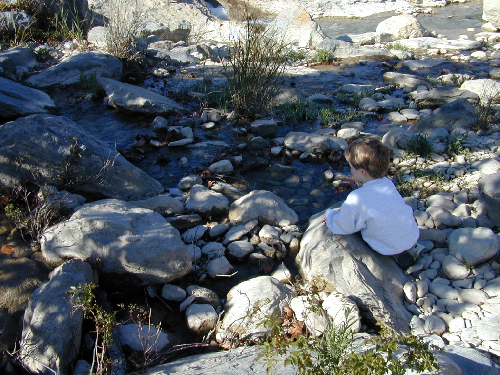 2002/11(November)/Pedernales_Falls/1024x768_DSCN0015.JPG