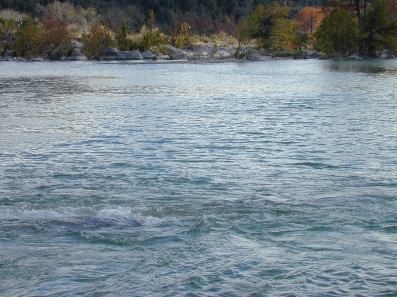 DSCN0011.JPG