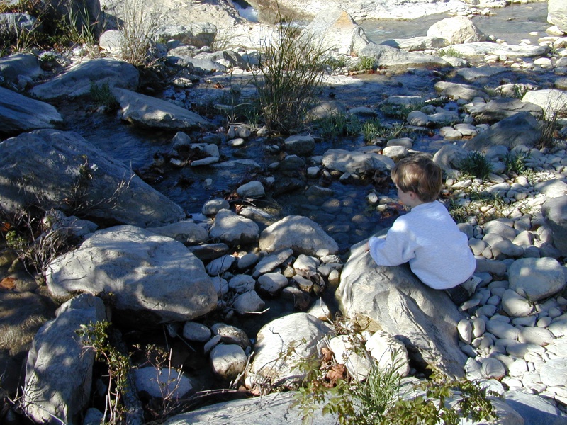 2002/11(November)/Pedernales_Falls/800x600_DSCN0015.JPG
