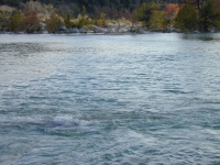 DSCN0011.JPG