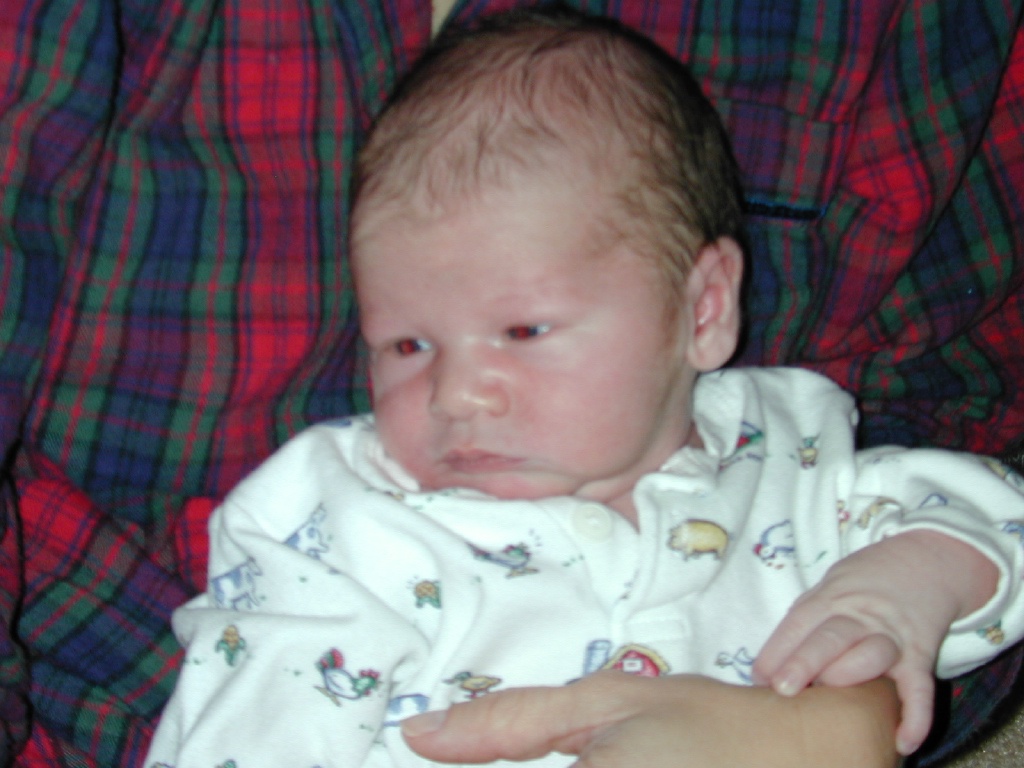 2002/12(December)/Brendan_Michael/1024x768_DSCN0006.JPG