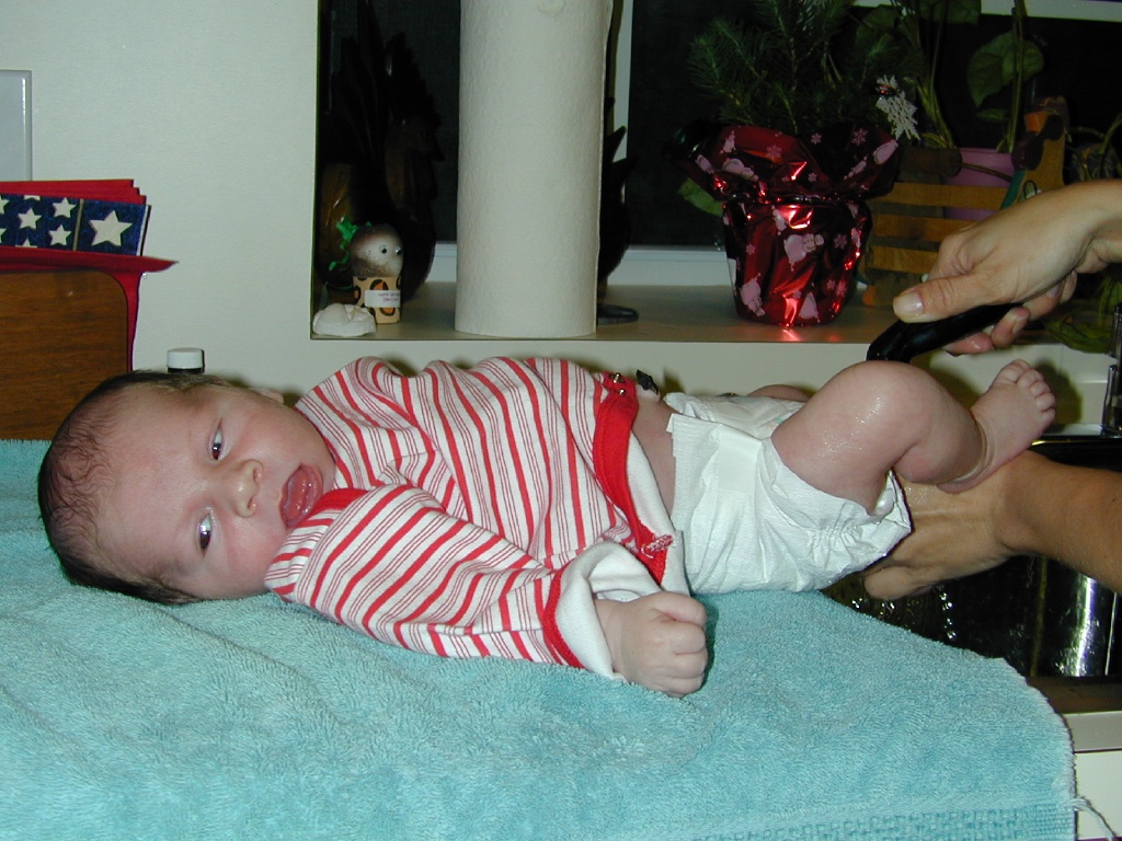 2002/12(December)/Brendan_Michael/1024x768_DSCN0008.JPG