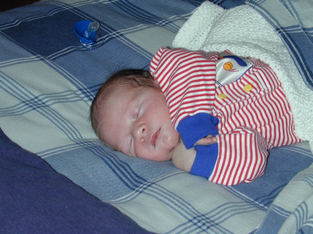 2002/12(December)/Brendan_Michael/640x480_DSCN0002.JPG