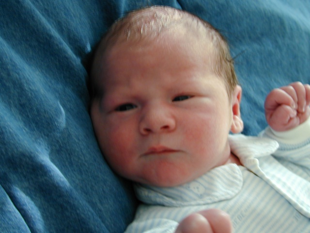 DSCN0215.JPG