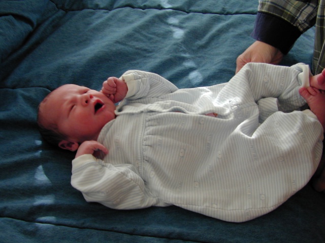 DSCN0216.JPG