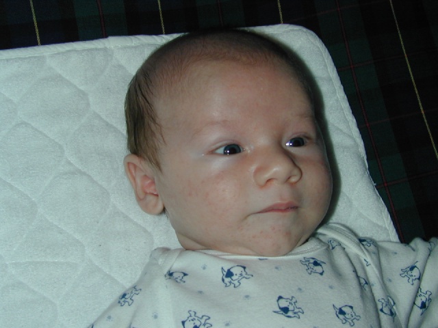 DSCN0177.JPG