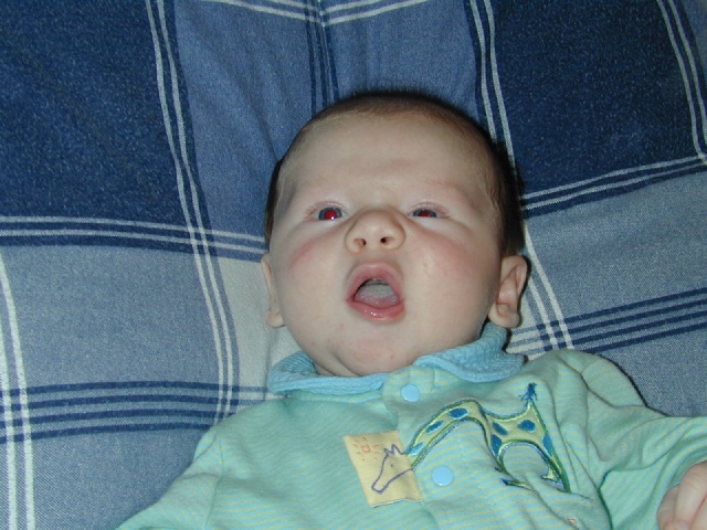 DSCN0183.JPG