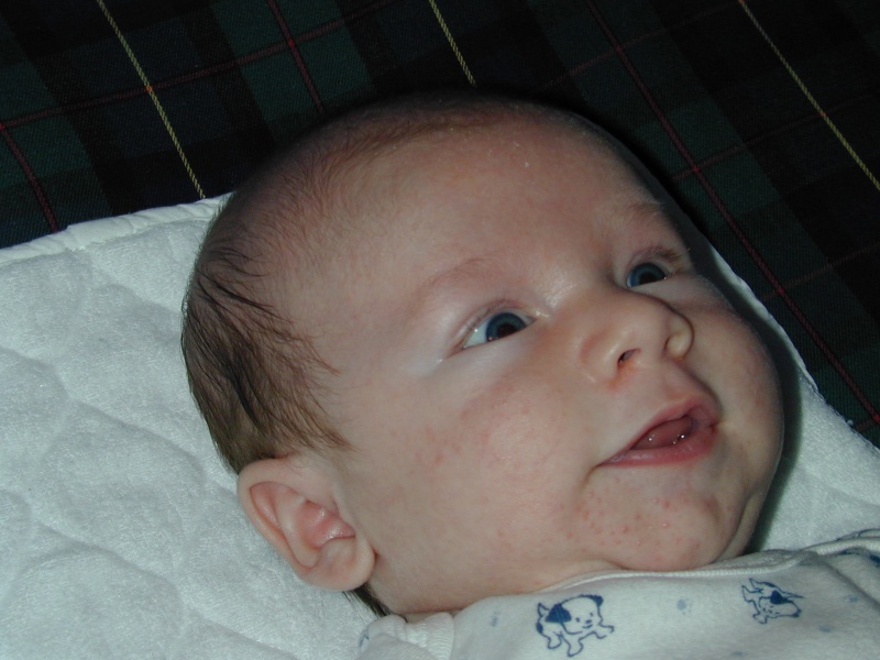 2003/01(January)/More_Brendan/800x600_DSCN0174.JPG