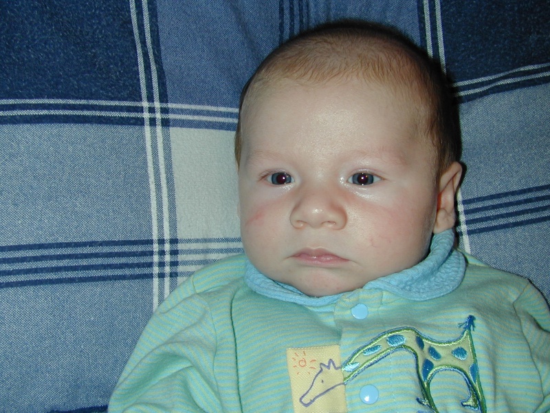 DSCN0184.JPG