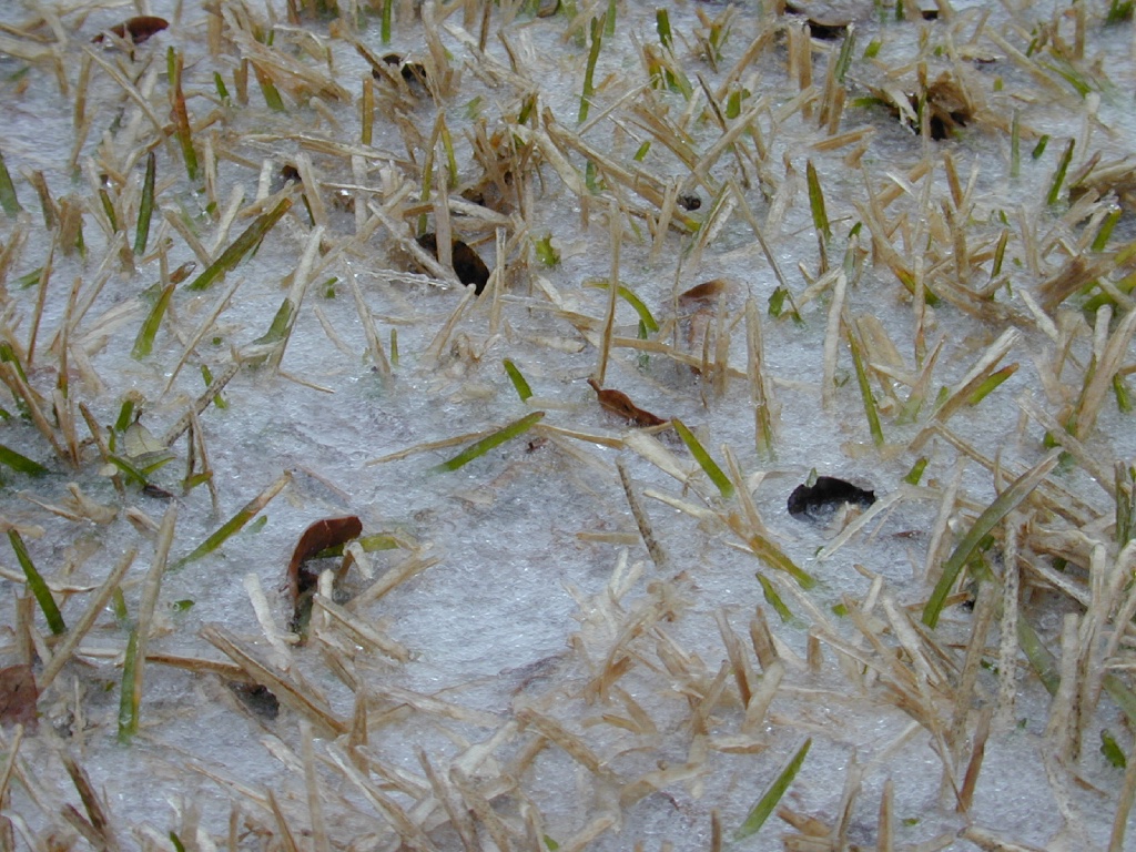 DSCN0191.JPG