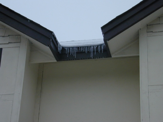 DSCN0197.JPG