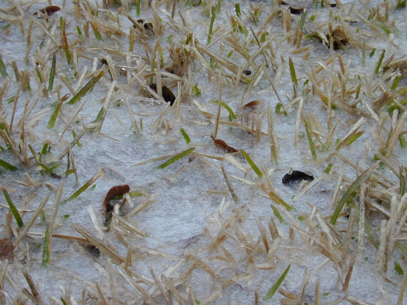 DSCN0191.JPG