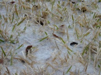 DSCN0191.JPG
