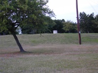 DSCN0220.JPG