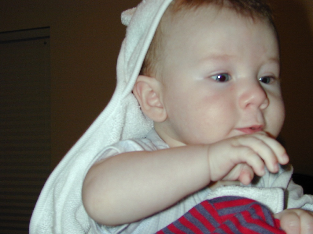 2003/05(May)/staging1/1024x768_DSCN0298.JPG