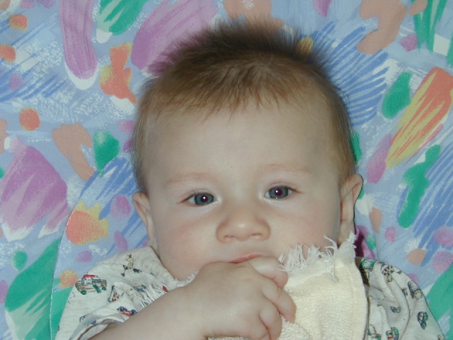 DSCN0242.JPG