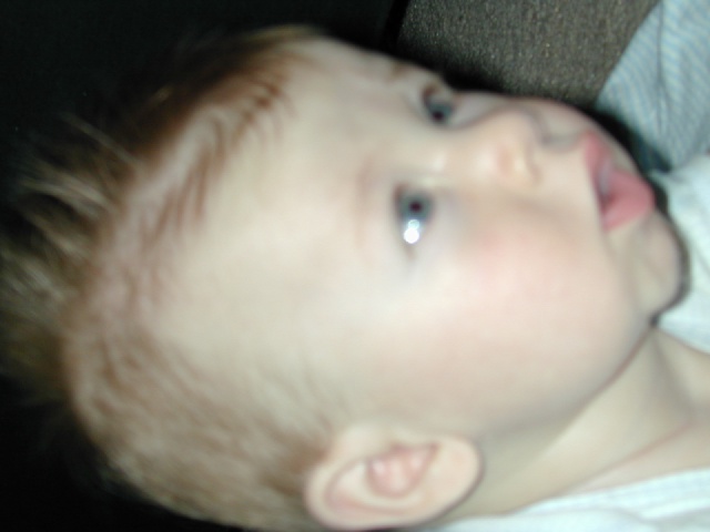 DSCN0295.JPG