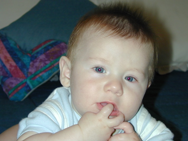 2003/05(May)/staging1/640x480_DSCN0306.JPG