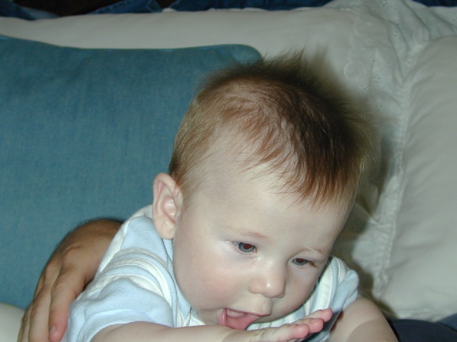 2003/05(May)/staging1/640x480_DSCN0316.JPG