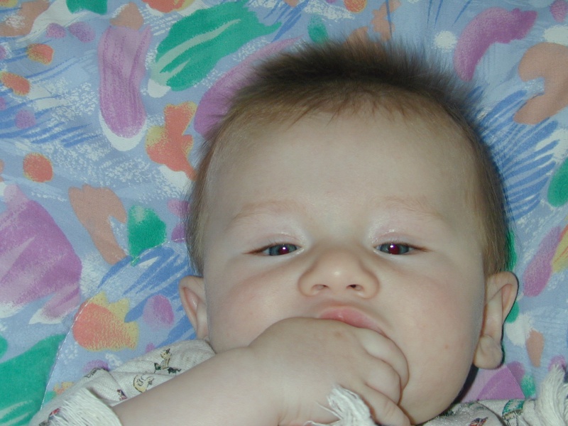 DSCN0236.JPG