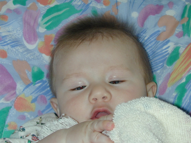 DSCN0237.JPG