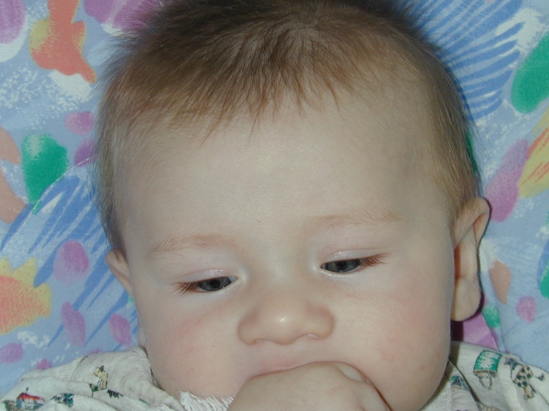 DSCN0239.JPG