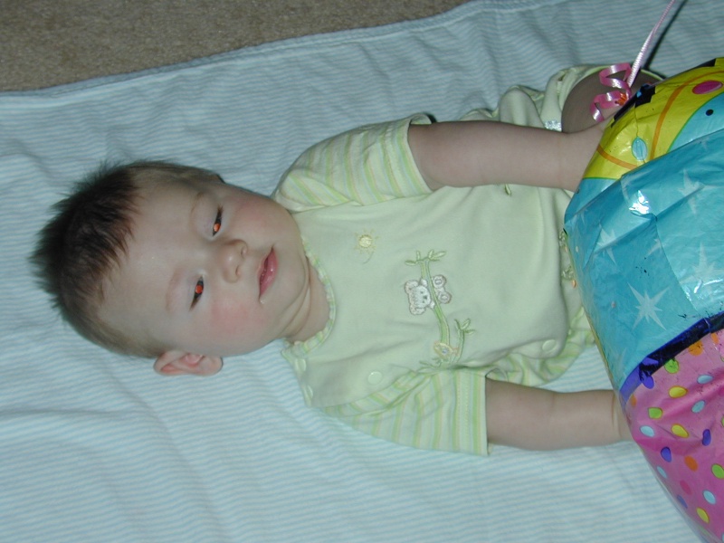 2003/05(May)/staging1/800x600_DSCN0282.JPG