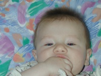 DSCN0236.JPG
