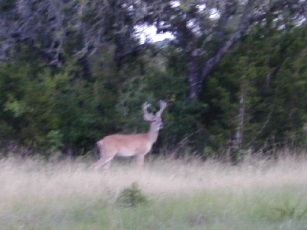 DSCN0357.JPG