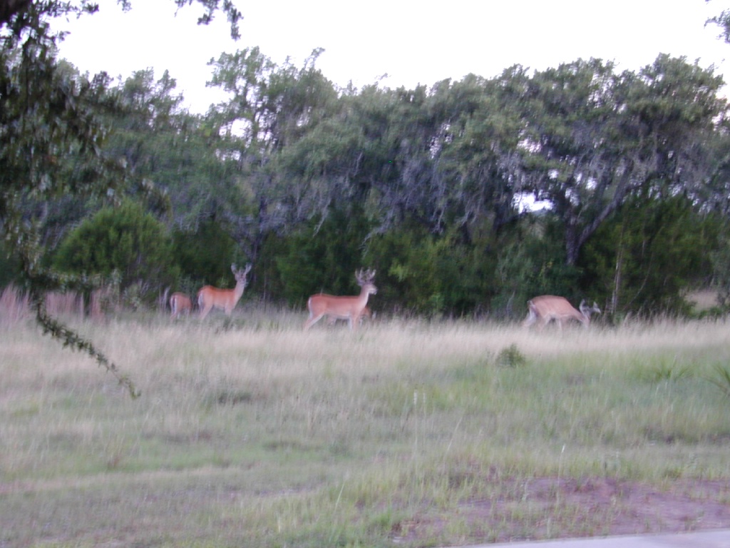 DSCN0358.JPG