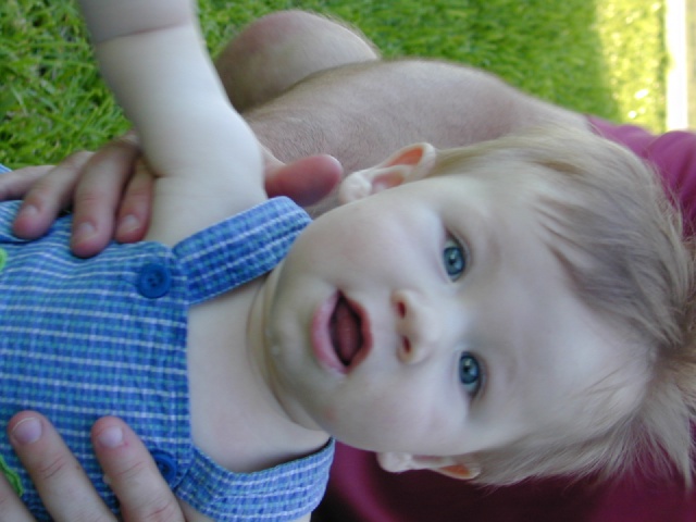 DSCN0346.JPG