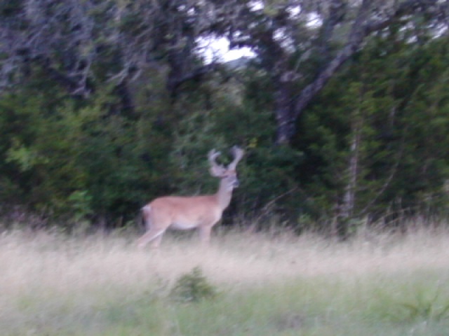 DSCN0357.JPG