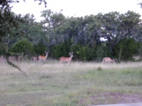 DSCN0358.JPG