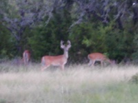 DSCN0361.JPG