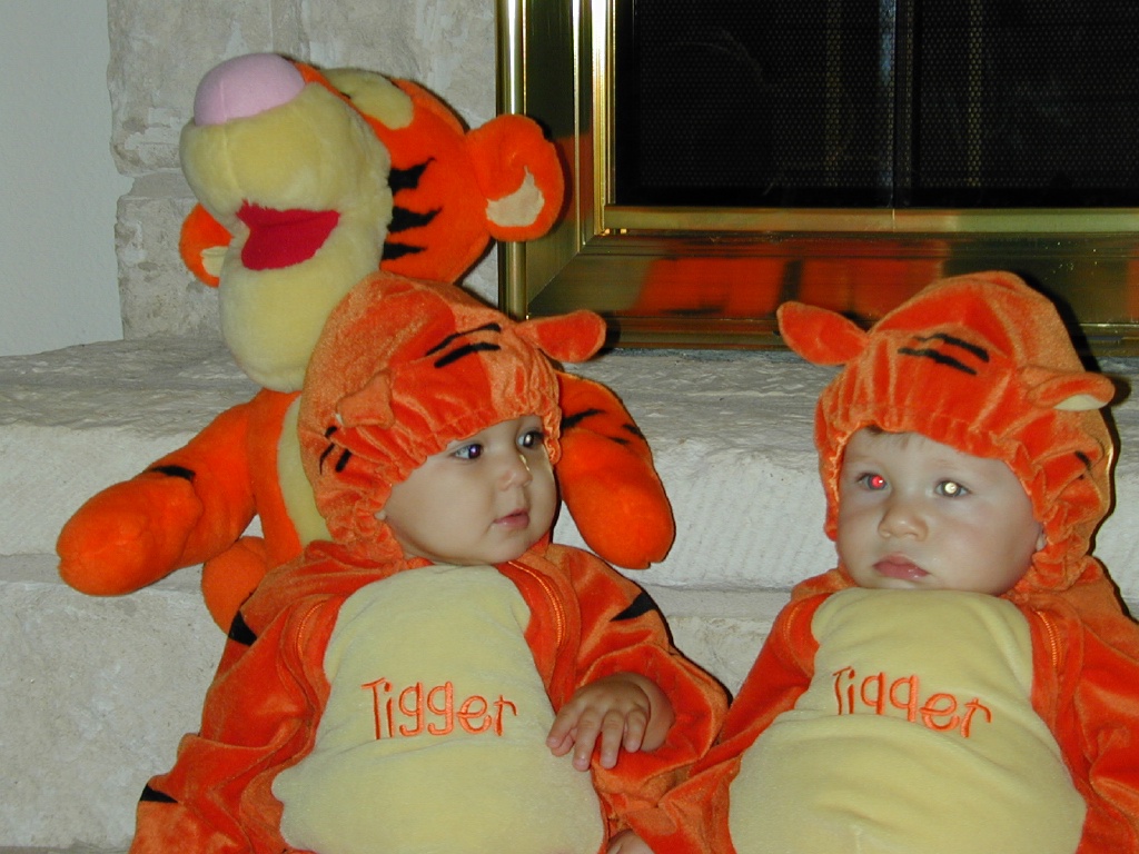 2003/10(October)/Halloween/1024x768_DSCN0006.JPG