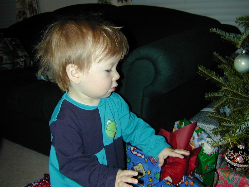 2003/12(December)/Christmas/800x600_DSCN0027.JPG