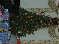 DSCN0021.JPG