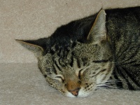DSCN0040.JPG