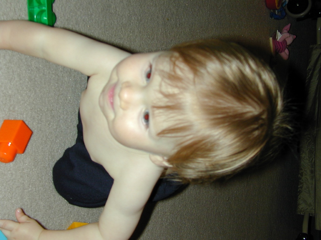 2003/12(December)/Misc/1024x768_DSCN0011a.JPG