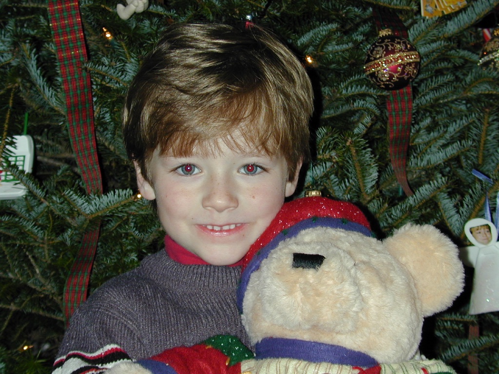 2003/12(December)/Misc/1024x768_DSCN0063.JPG