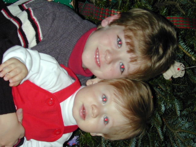 2003/12(December)/Misc/640x480_DSCN0042.JPG