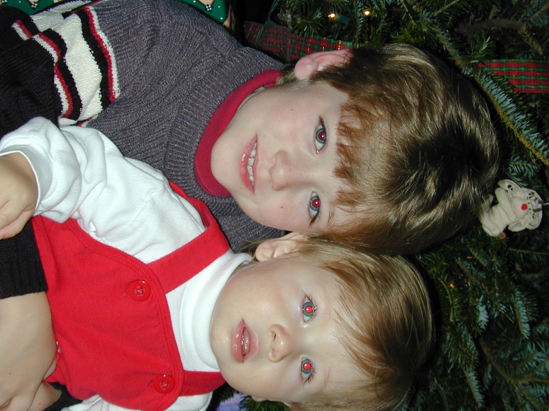 2003/12(December)/Misc/800x600_DSCN0044.JPG