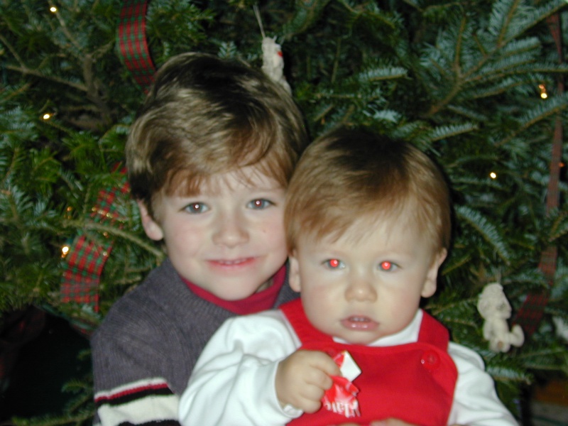 2003/12(December)/Misc/800x600_DSCN0059.JPG