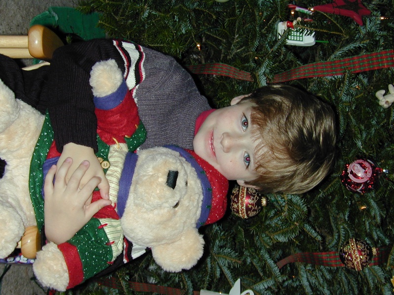 2003/12(December)/Misc/800x600_DSCN0064.JPG