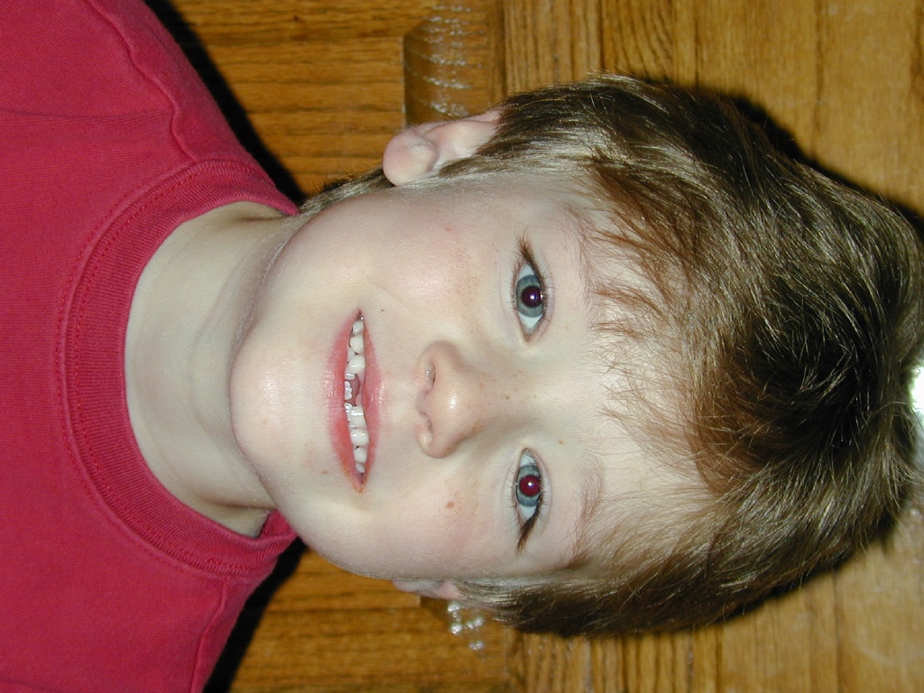 2004/01(January)/Misc/1024x768_DSCN0346.JPG